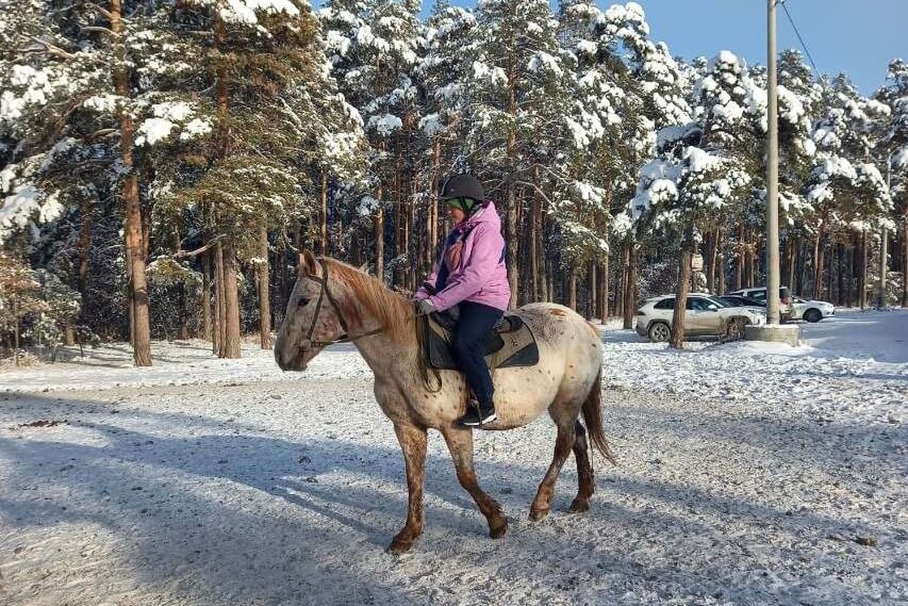 Покататься на лошадях вдвоём. Конный клуб Konipark в Челябинске