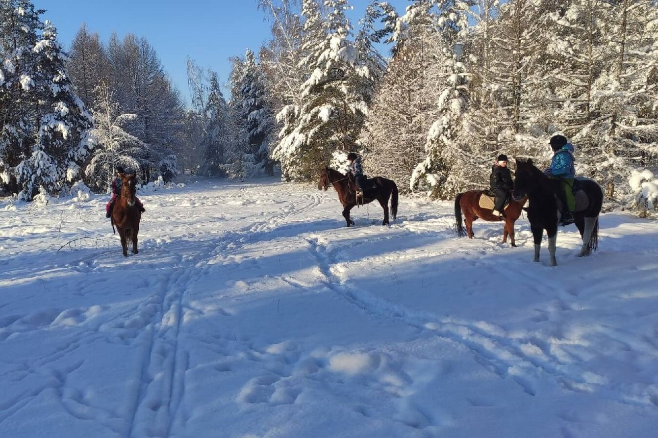 Покататься на лошадях вдвоём. Конный клуб Konipark в Челябинске