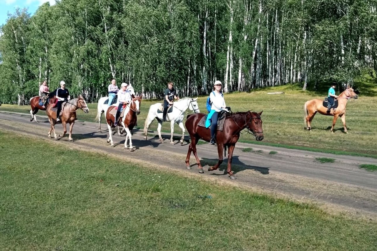 Правила безопасности при верховой езде на лошадях